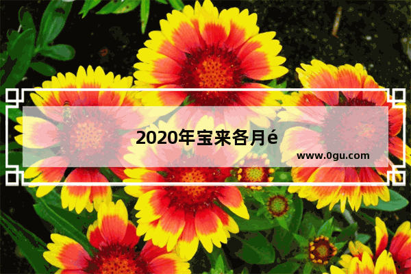 2020年宝来各月销量