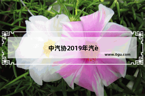 中汽协2019年汽车销量