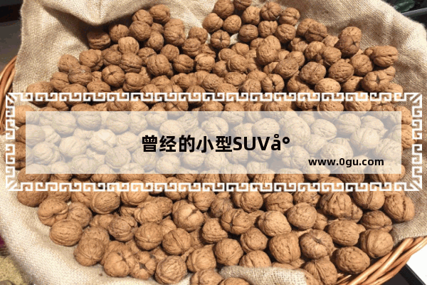 曾经的小型SUV小霸主 江淮瑞风S3 为何销量下滑到底了