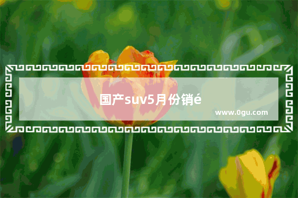 国产suv5月份销量排名